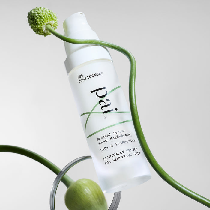 Pai Skincare US