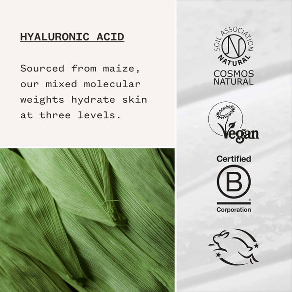 Everything you need to know about Hyaluronic Acid